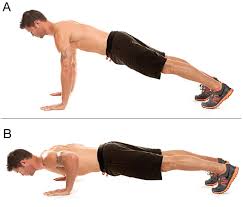 Regular Push ups Man or Woman- Chest, Shoulder,Abdominals, Triceps, 