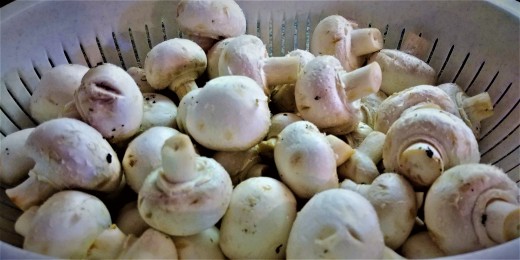 1 cup of Portabella Mushrooms contains 1% of DV for Vitamin D. It's not much but every little bit helps!