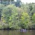Canoeing in Price Lake