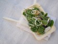 The Best Ever Fennel and Watercress Salad