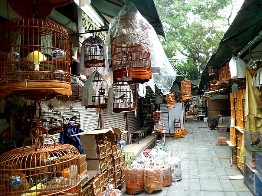 Bamboo cages and bird food supplies for sale.