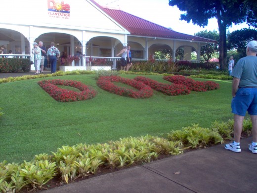 The Dole Plantation