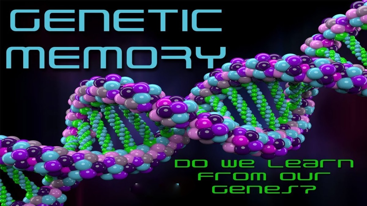 Genetic Memory