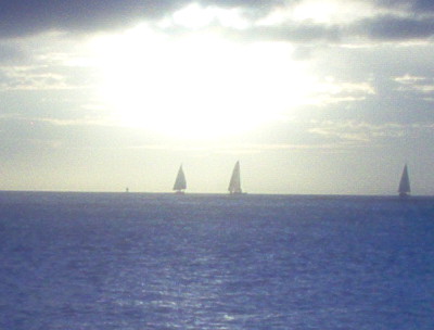 Sailboats near Oahu 