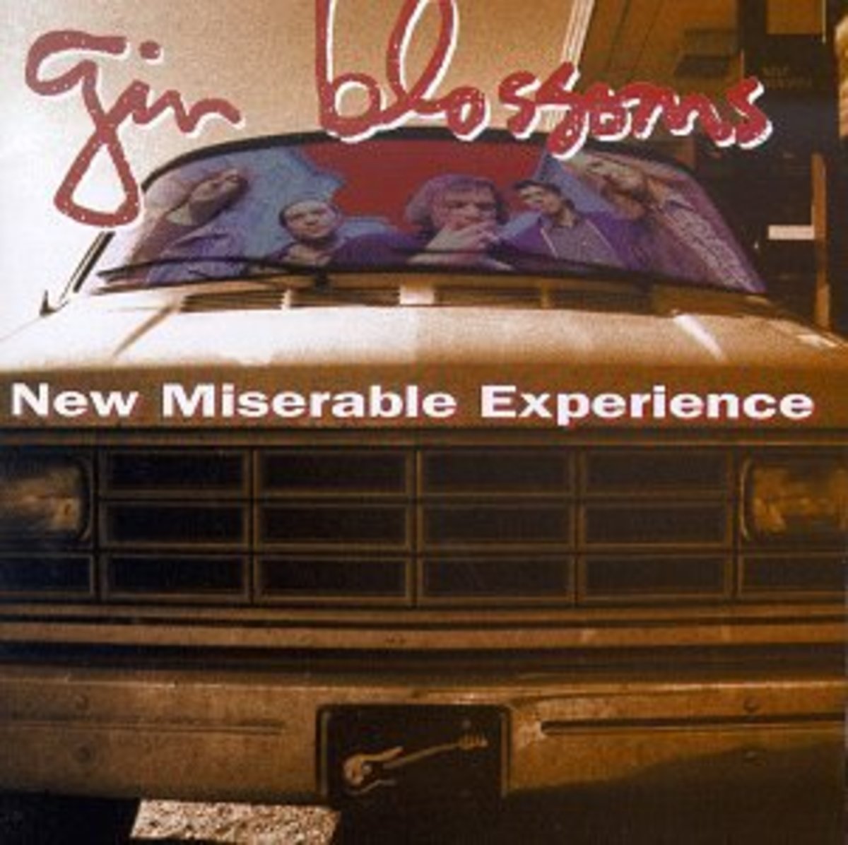 "New MIserable Experience" by the Gin Blossoms
