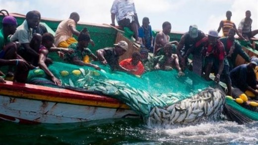 It is humble artisanal fishermen such as these who provide much of the food supplies of West Africa. 