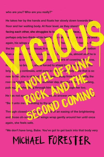 Front of the book Vicious, A novel of punk rock and the second coming