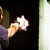 Firearms are the most frequently used weapon in domestic violence homicides. Firearms are the most frequently used weapon in domestic violence homicides.