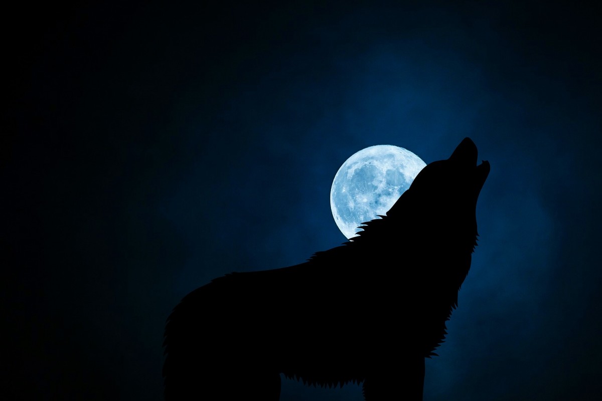 600 Cool Werewolf Names For Males And Females Exemplore