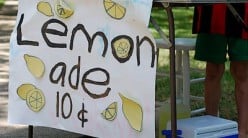 How to open a Lemonade Stand