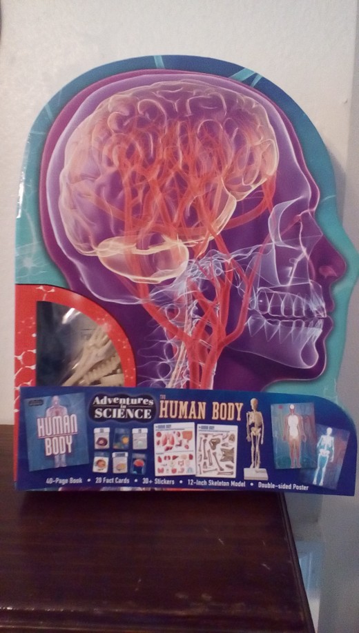 fun kit and book for young children ages 6+ to learn about our body