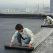 chongthamdanang profile image