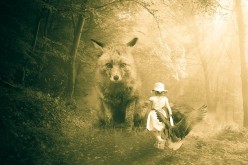 Faerie Folklore: Fairies Are Shapeshifters