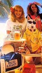 "Spuds McKenzie"  see text.