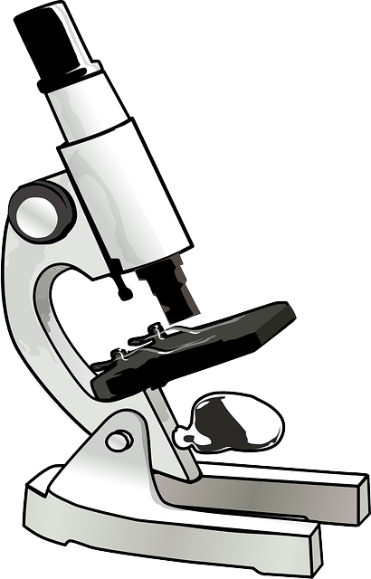 Image by: Clker-Free-Vector-Images
