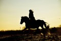Overweight Riders Could Cause Serious Horse Health Issues