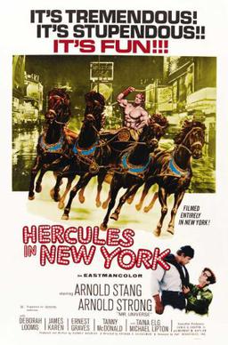 Poster for the film