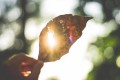 5 Signs That You're Lacking Vitamin D