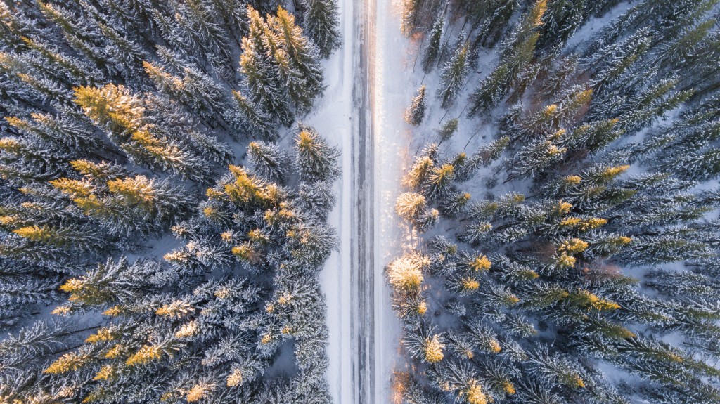 https://usercontent1.hubstatic.com/14039994_f1024.jpg