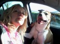 The Day My Dog Went Missing!