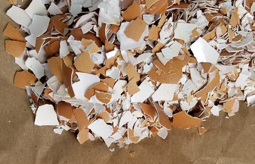 Lay eggshells on thick paper or newspaper