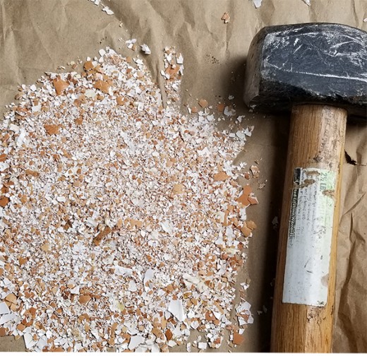 Option #5: Use a small heavy mallet to pound the eggshells to crush them. NOTE: Cover the eggshells with another layer of paper before hammering, to avoid eggshell pieces from flying around.