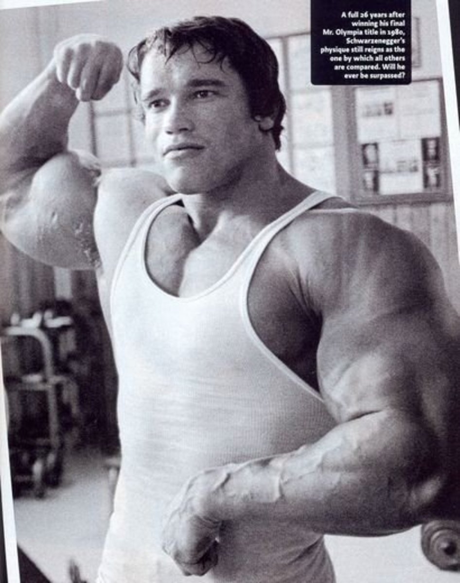 Arnold Schwarzenegger Exercise Chart
