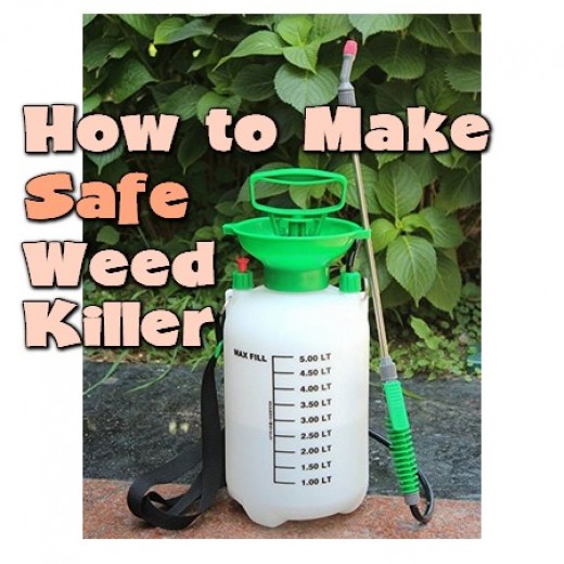 How To Make Safe Weed Killer