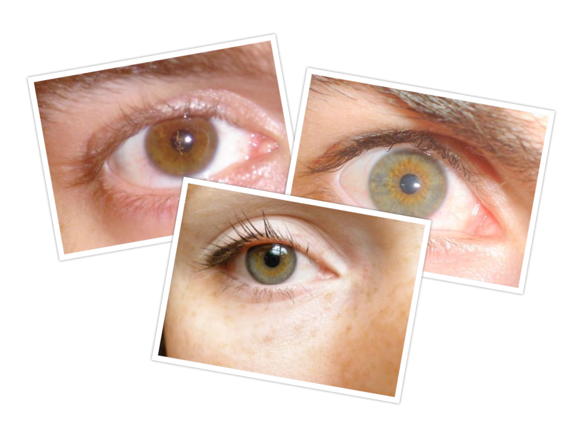 The Difference Between Green and Hazel Eyes | Owlcation