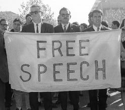 The Price of Free Speech in America