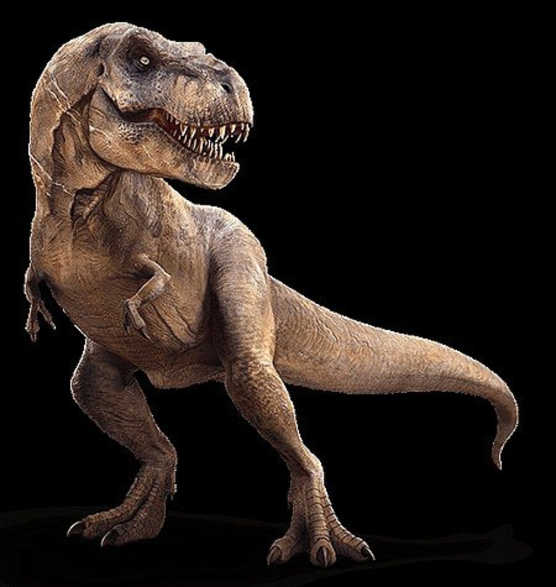 Tyrannosaurus Rex: Quick Facts | Owlcation