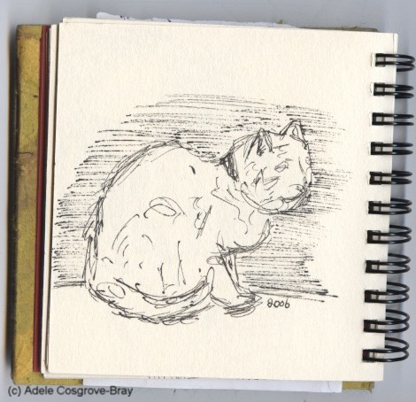 Ink sketch of Mutley, my beloved geriatric one-eyed ginger-and-white tomcat.  Drawing Mutley was easy because he spent much of his time asleep.
