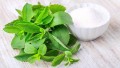 Is Stevia the Best Natural Sweetener?