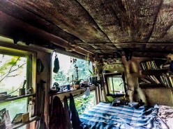 What is Wildroots Earth Skills Community?