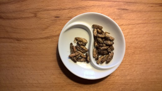 Insects are considered food in many parts of the world
