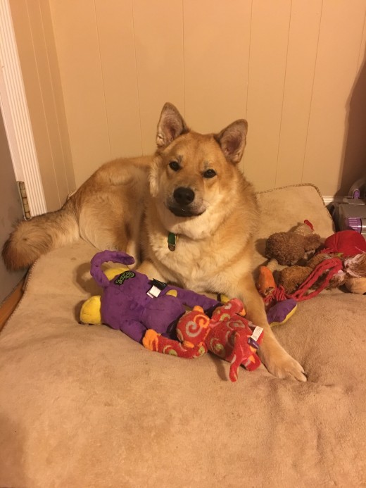 Everyone deserves to feel spoiled. Otherwise how do you know the difference between comfort, and “well this sucks”?