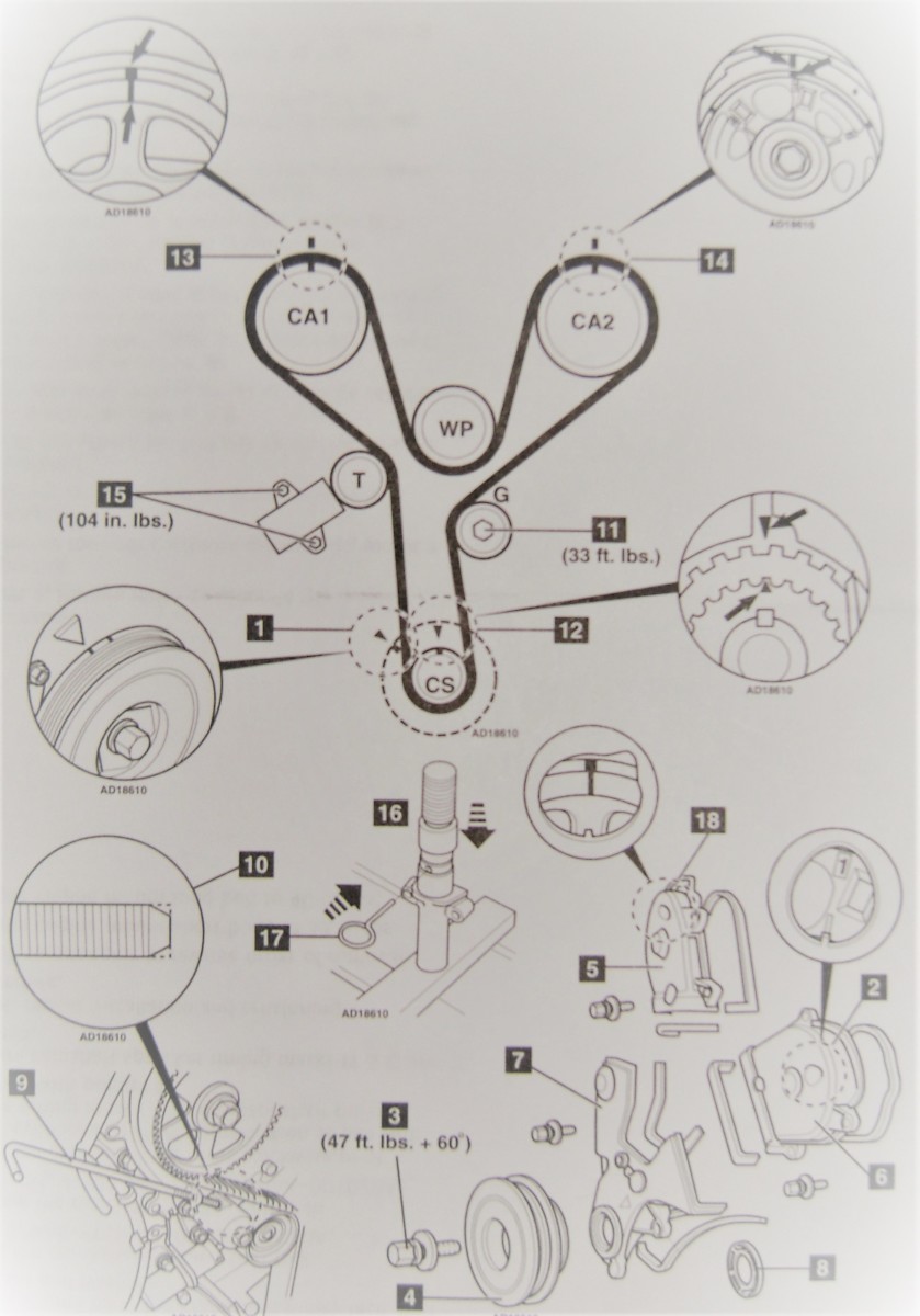 Honda Timing Belt Or Chain Chart
