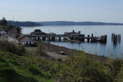 Walk with Me (A Tour of My Garden)