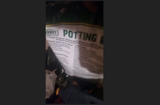 Potting Soil - Small bag