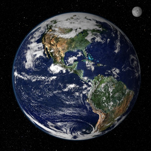 Plant-based consumerism helping our world
