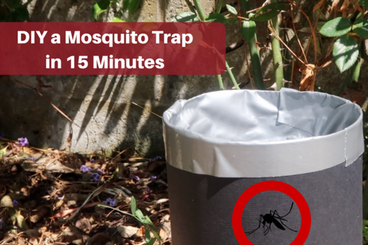 How to Make a Homemade Mosquito Trap