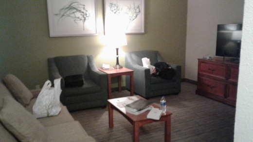 The suites have living room areas...