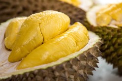 The Legend of Durian
