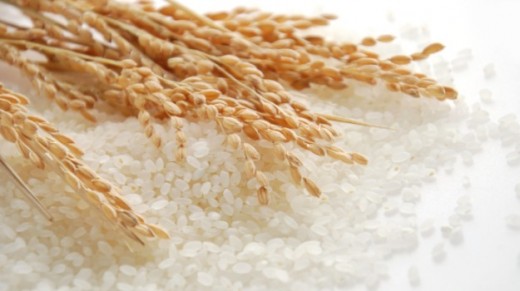 Rice grains. White rice.