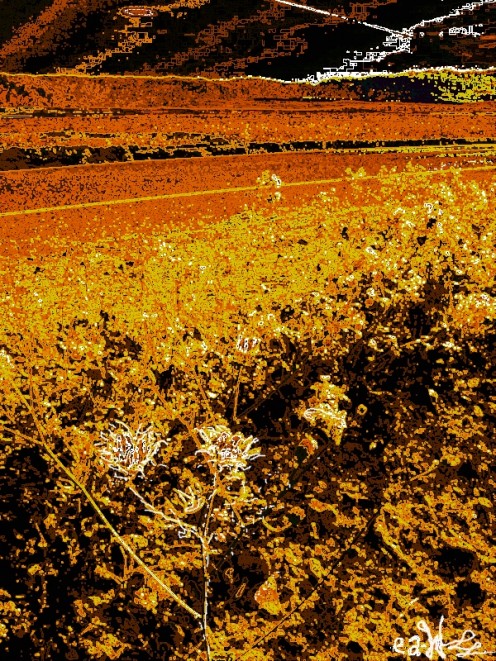 Look for good things, like flowers, even in scorching, unlikely places.