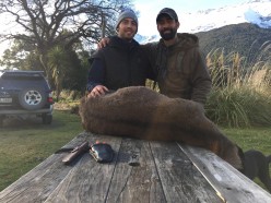 Impressions on a First Hunt