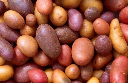 I love potatoes in every size, shape, and color. I love potatoes in every size, shape, and color.