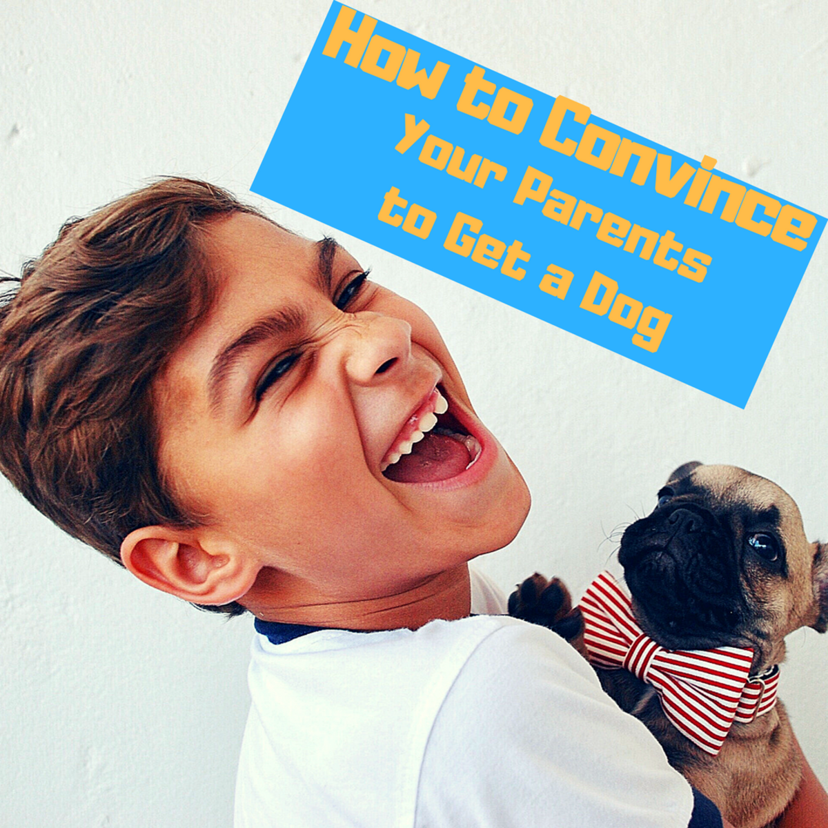 How to Convince Your Parents to Get a Dog WeHaveKids