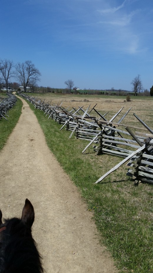 Gettysburg battlefield view from horseback.
