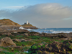 The Seaweed growing on the Sea Washed Rocks in West Wales. The green Sea Lettuce gives an inferior product to the Desired Purple Sea Weed.